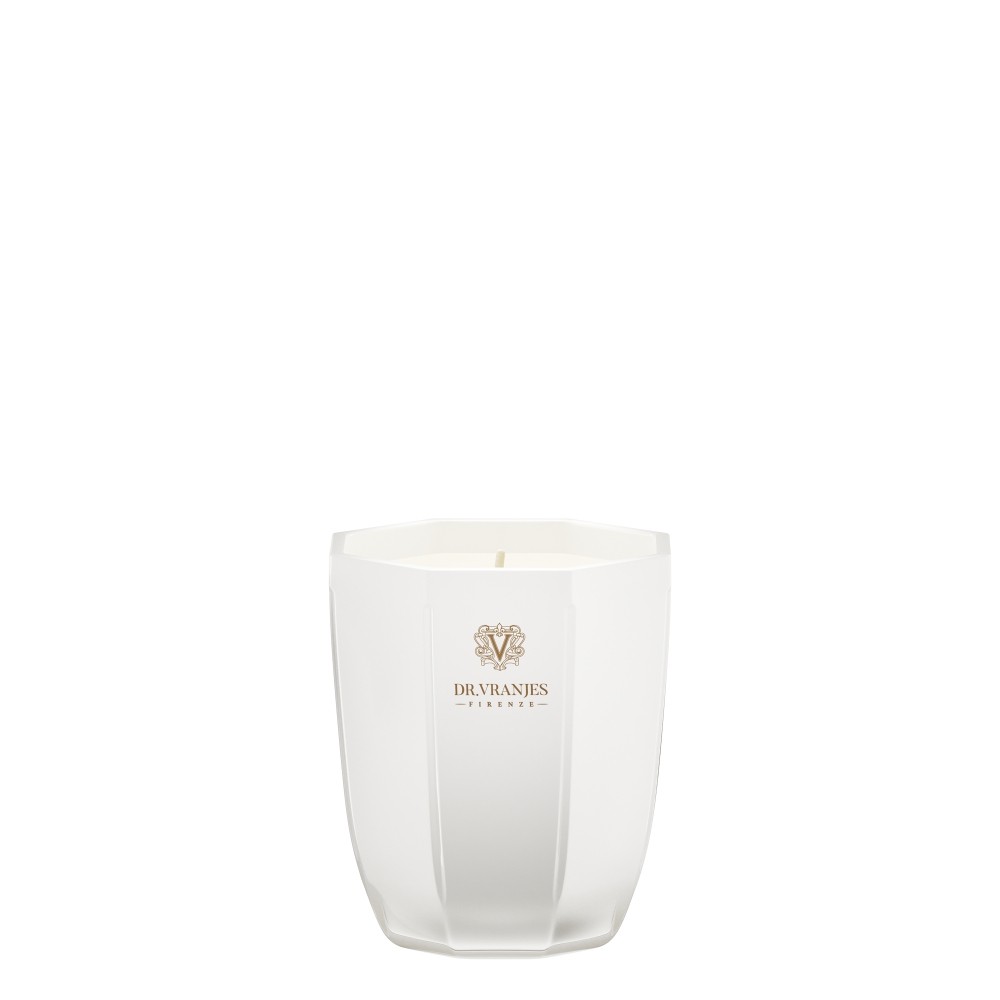 Dr. Vranjes Firenze Ginger Lime Scented Candle