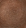 Spice