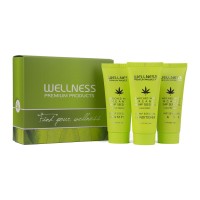 Wellness Premium Intensive Mini Kit