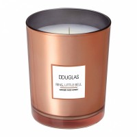 Douglas Seasonal Ring, Little Bell Ginger And Honey Candle