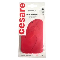 Mr&Mrs Fragrance Cesare Card Peppermint