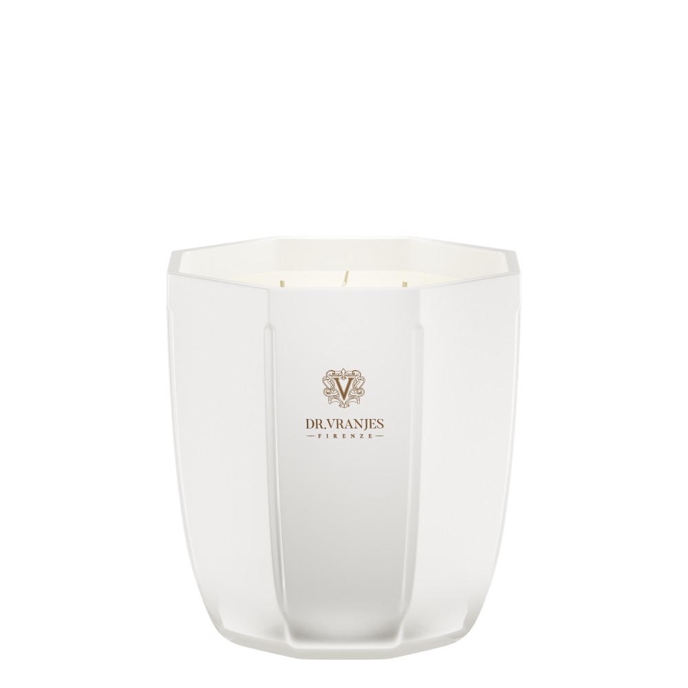 Dr. Vranjes Firenze Ginger Lime Scented Candle