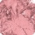 PINK VENUS