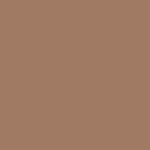03 - Warm Light Brown