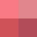 ROSE BERRY