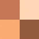 Ec01 - Shiny Foliage