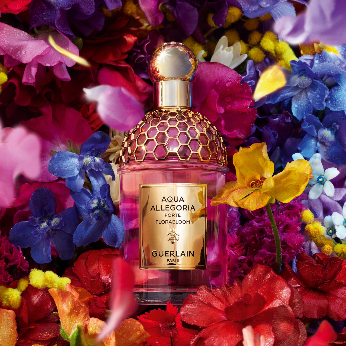 AA_FORTE_FLORABLOOM_KEY_V (1).jpg