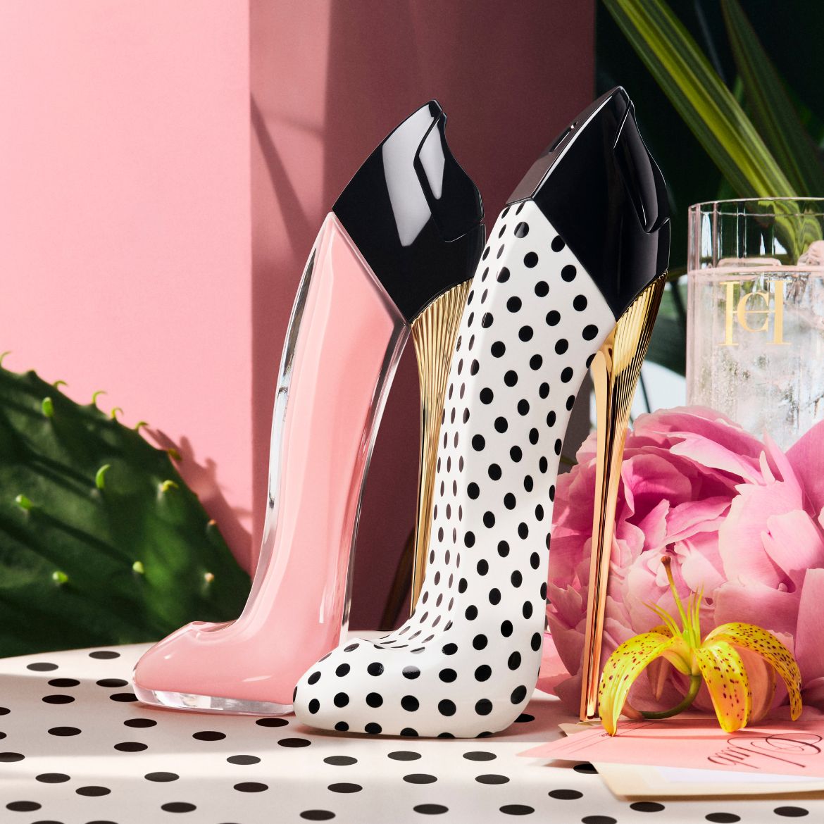 CH GG Blush Polka Paradise Brand highlight teaser_1170x1170px.jpg