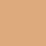 27N - CAMEL