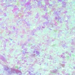 Flirtatious/Faithful