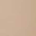 210C = 010 BEIGE PORCELAINE