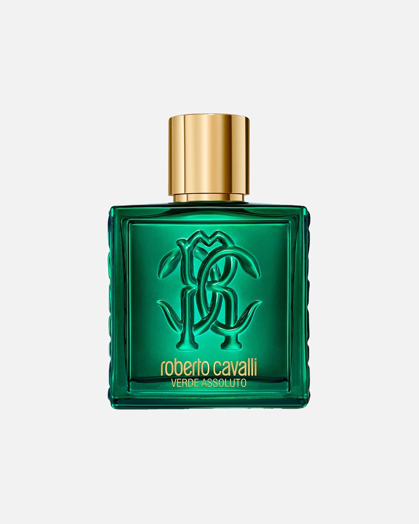 Eau de Parfum - Férfi Roberto Cavalli UOMO VERDE ASSOLUTO 100 ml