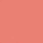 BB04 - BLOOMING ORANGE