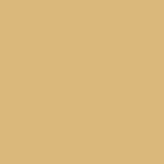 Golden Beetle
