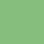 15-Mint Choc Chip Shake