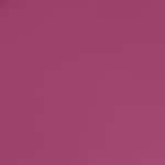 27 - Hottie Hijacker