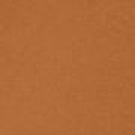 Tan Warm 44