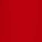 SCREAM OF CONSCIOUSNESS