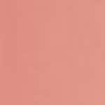 500 Le Beige Freedom